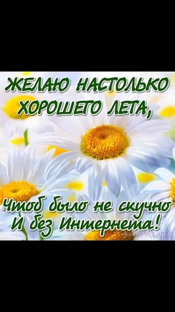 Здравствуй,Лето!!#жара #клубника #дача #лето #shorts