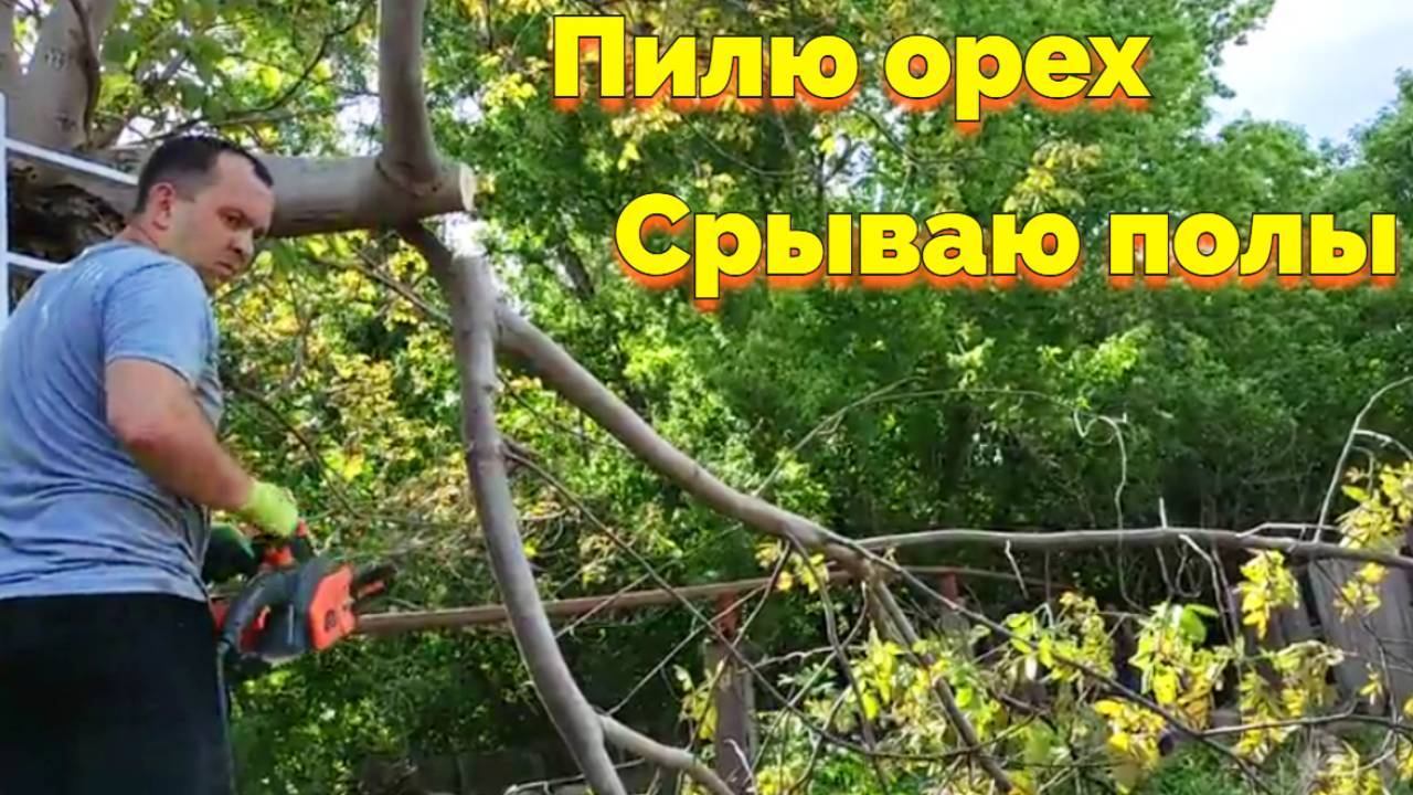 ПИЛЮ ОРЕХ / СНЯЛ ПОЛЫ В КУХНЕ В ДОМЕ