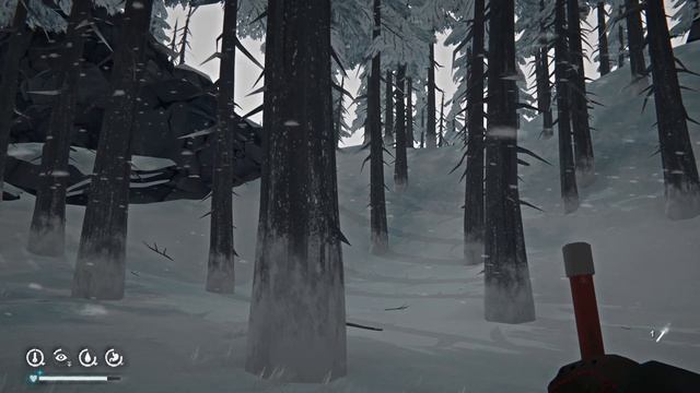 The Long Dark 56