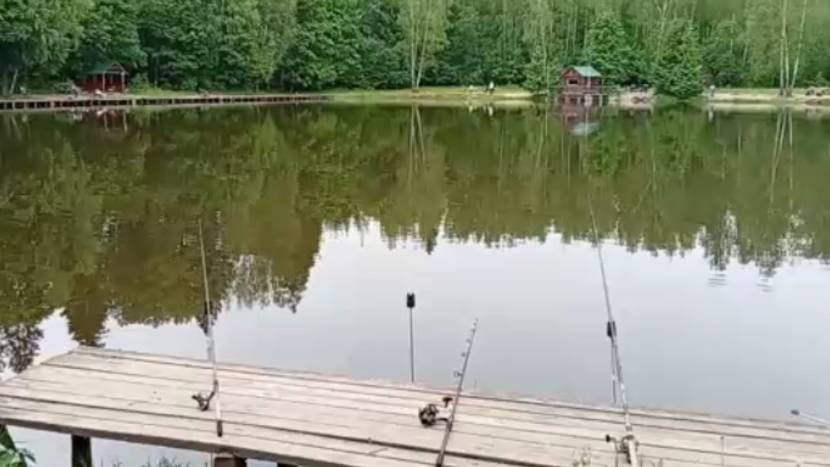 Ловим осетра на Нижнем. Клёвое место Лосиный остров.