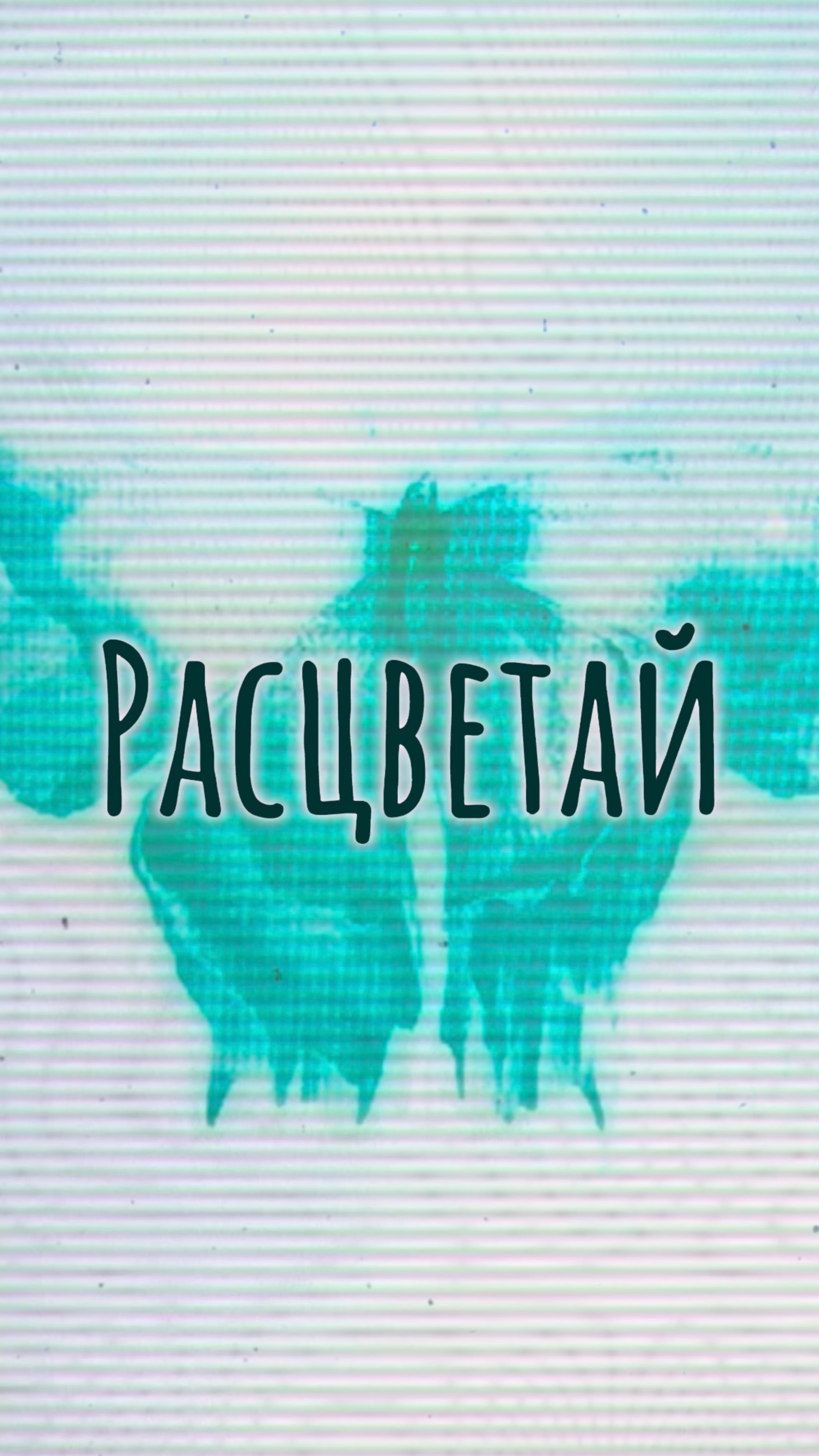 Группа «Аккара» - Расцветай