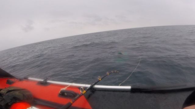GOPR2881