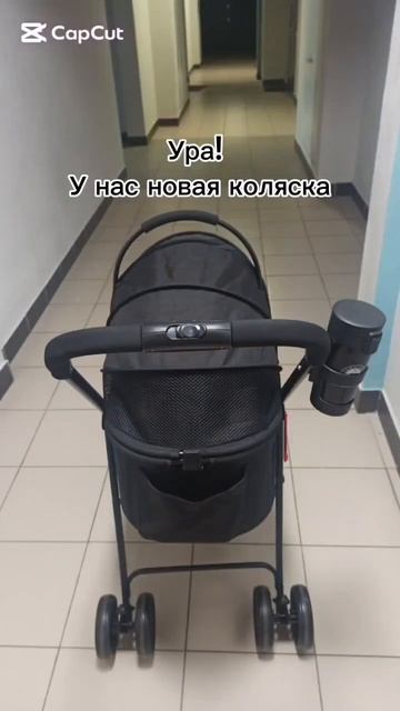 коляска #каришик #суперсобака #каришиквшоке #собака #puppy