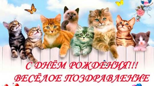 С ДНЁМ РОЖДЕНИЯ!!! ВЕСЁЛОЕ И ПОЗИТИВНОЕ ПОЗДРАВЛЕНИЕ ОТ МИЛЫХ КОТИКОВ!!!