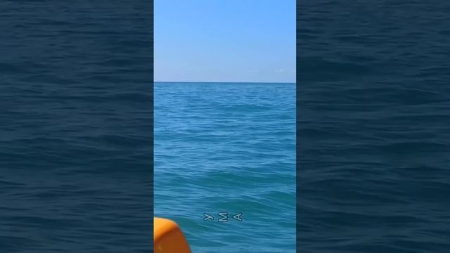 ДАГОМЫС. Катамараны. Видео Надежды Деевой
