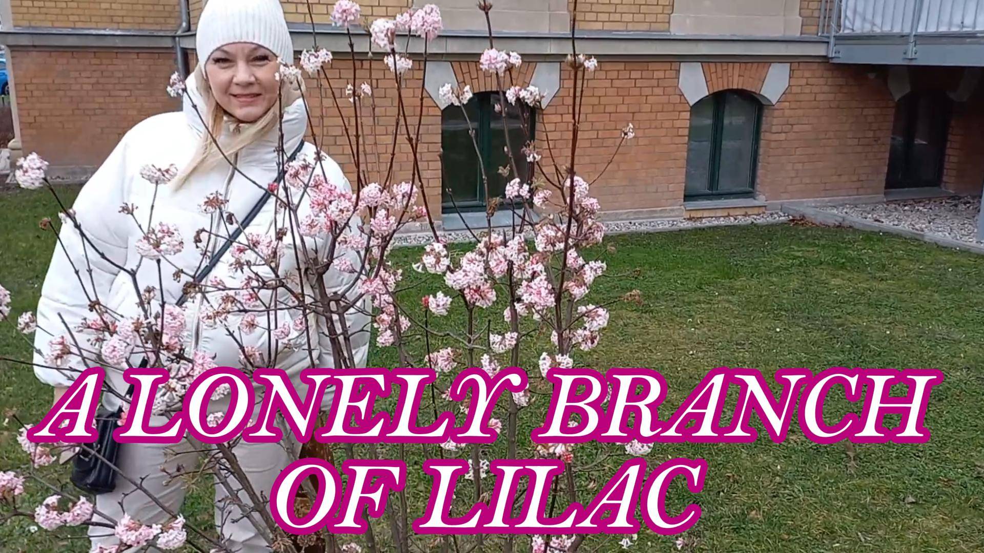 A LONELY BRANCH OF LILAC