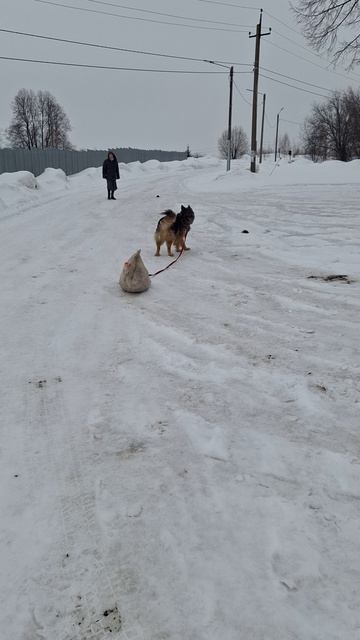помощница