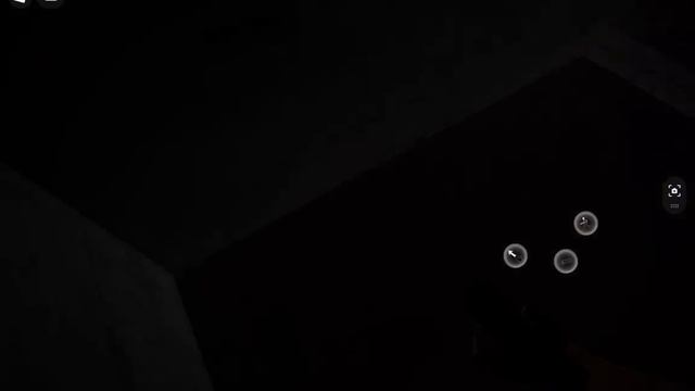 истинные задние комнаты часть 1