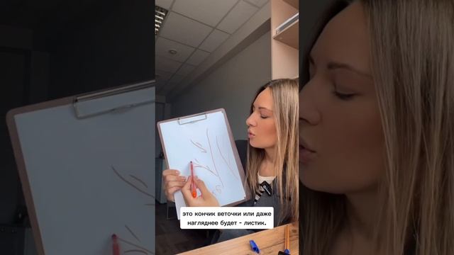 Как хаос в семейной системе влияет на нас.