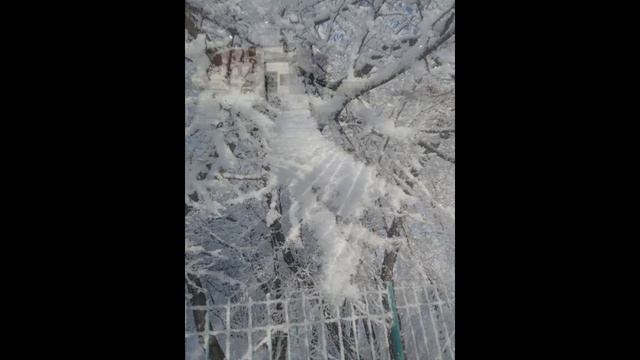 Снежная рапсодия   Далекая Сибирь. БЕЗУМНО КРАСИВО!!!!!!!