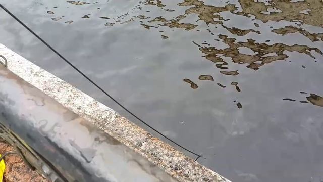 VID-20250608-WA0002