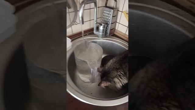 куда утекает вода😅