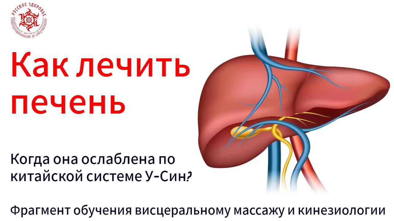 Как лечить печень. Когда она ослаблена по китайской системе У-Син? Фрагмент обучения