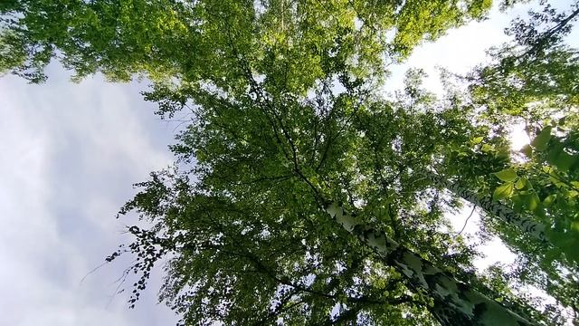 Сил моих больше нет! Эти подъёмы меня вымотали, вместе с жарой. Температура на солнце почти 40°.