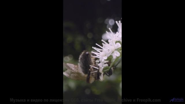 Мелодия, которая заставляет хотеть свернуть на любую неизвестную дорогу - Nowhere to Hide -- Steve C