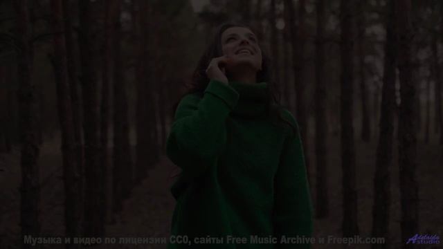 Под эту музыку природа дышит по-новому - Trumpets-of-Jericho -- Shaolin Dub -- Joint Force