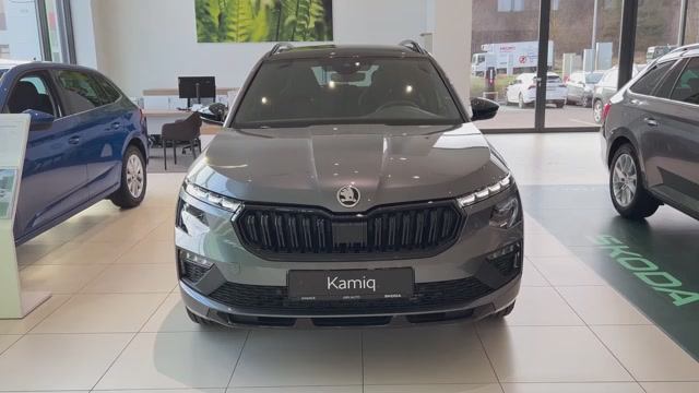 SKODA KAMIQ 2025 обзор
