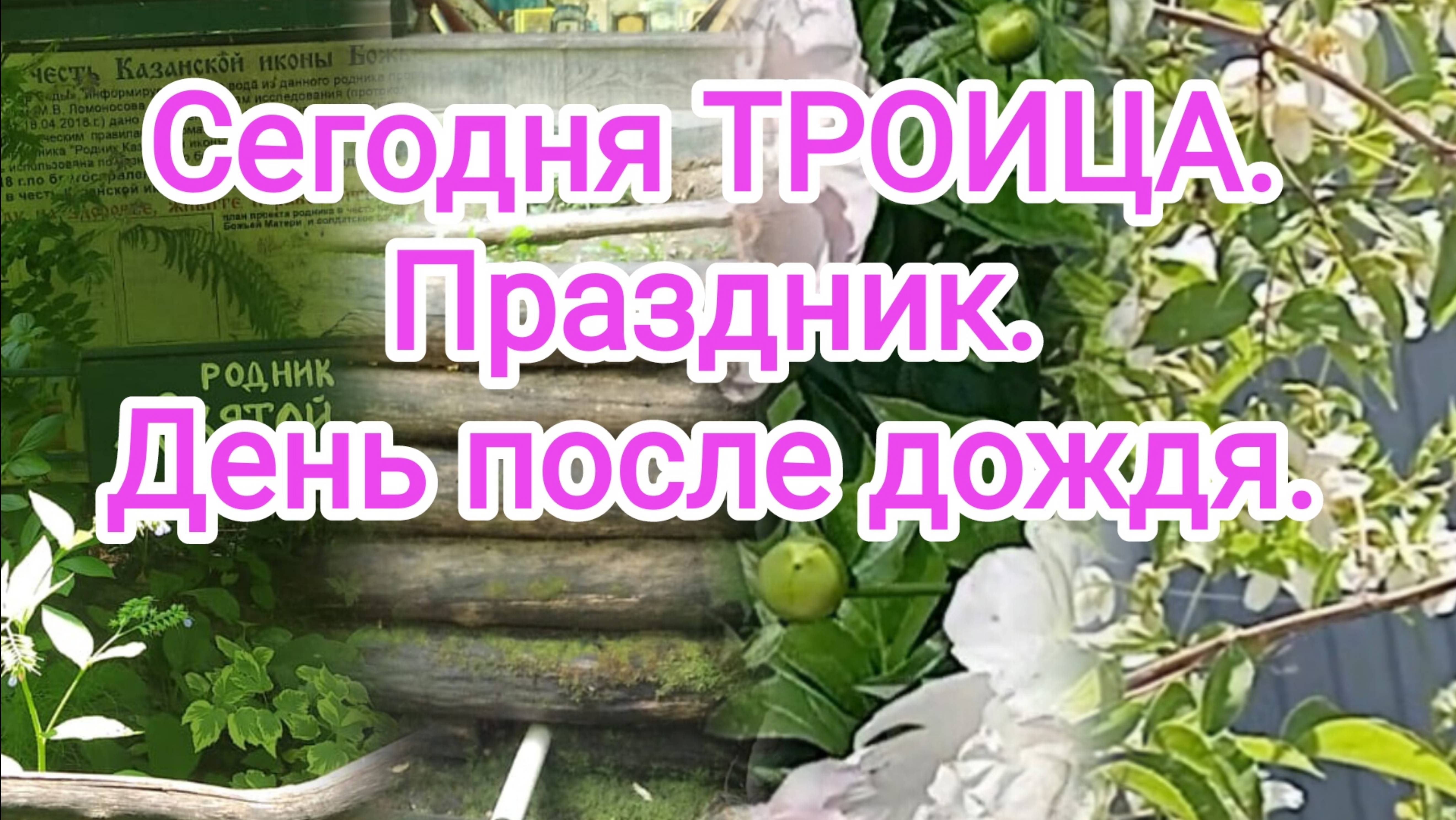 Сегодня ТРОИЦА. Праздник. День после дождя.