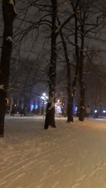 Владикавказ2019. Городской заснеженный парк