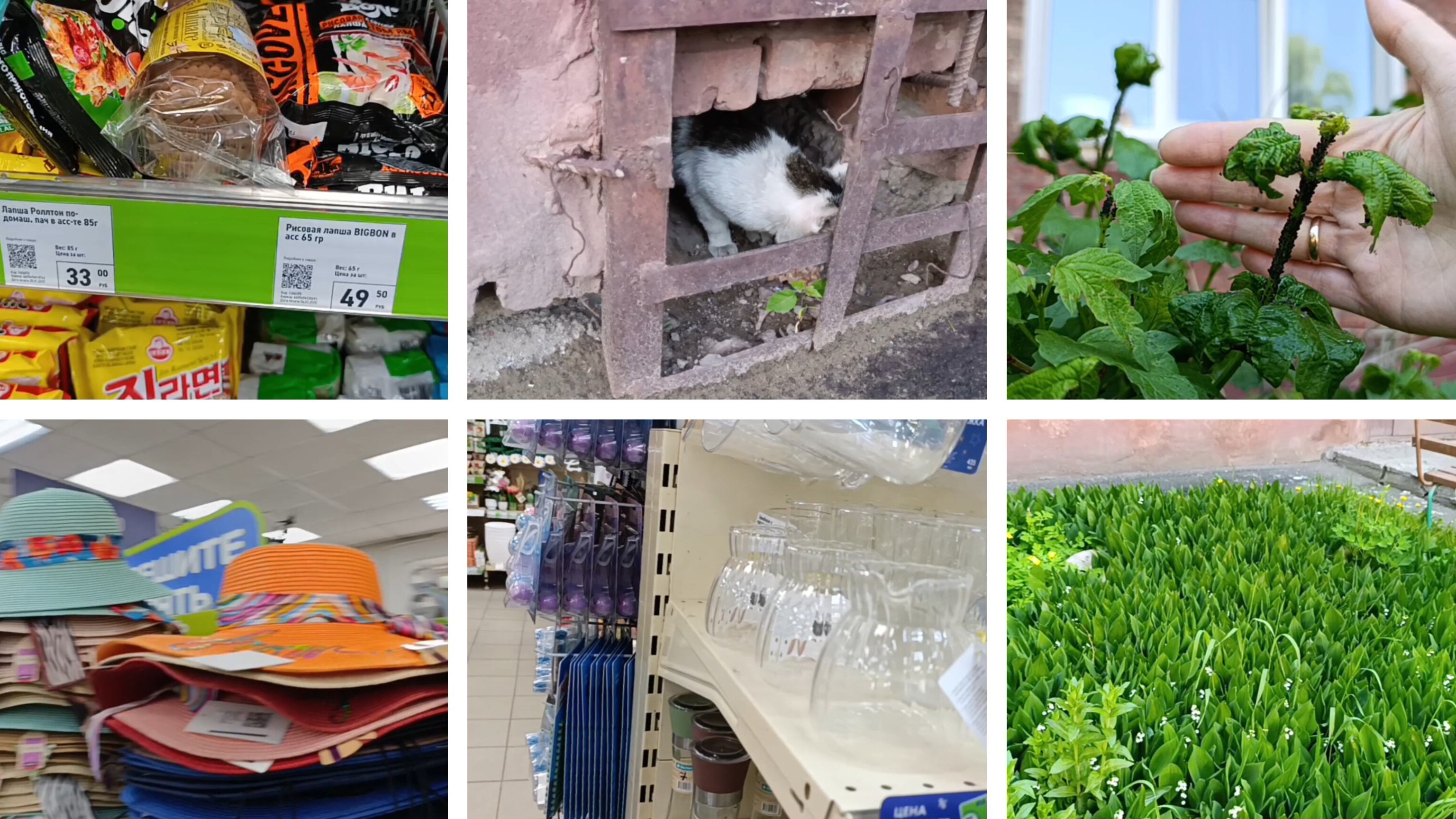 зашла в фикс-прайс и в шоке от цен🤯/насекомые вредят🧐