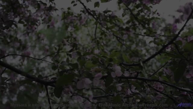 Эта мелодия синхронизирует хаос - услышьте порядок! - Dragonslayer -- Podington Bear -- Said Lion To