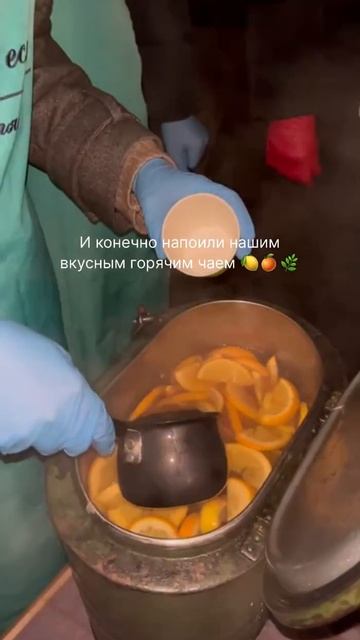 ️ Кормление 29.11.24, Павелецкая