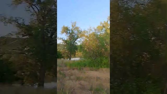 Остров Зелененький