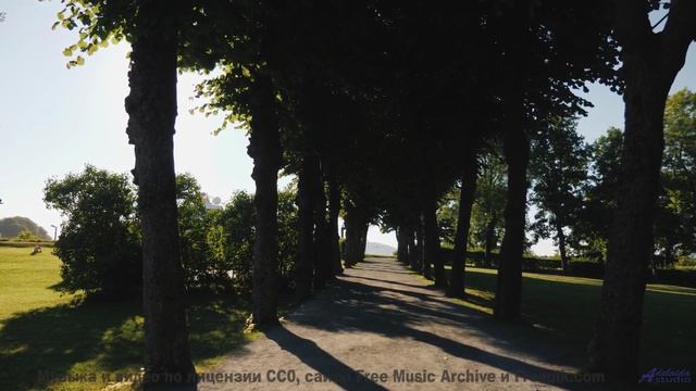 Эта мелодия - как мост между двумя душами... - Boardwalk -- HoliznaPATREON -- Summer Series
