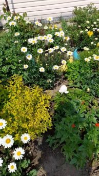 Цветочное лето