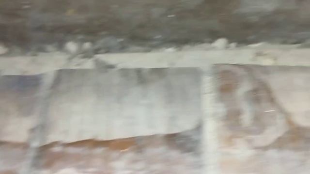 дыры откуда лезут мыши / новые пижамы / линейка