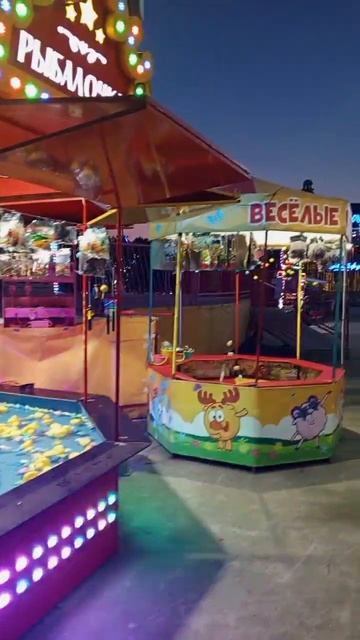 video_2025-06-08_08-19-03