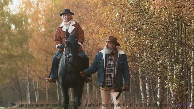 Мелодия, которая звучит как 'я люблю тебя' без слов... - Tropical Specimens of the Western Kind ft.