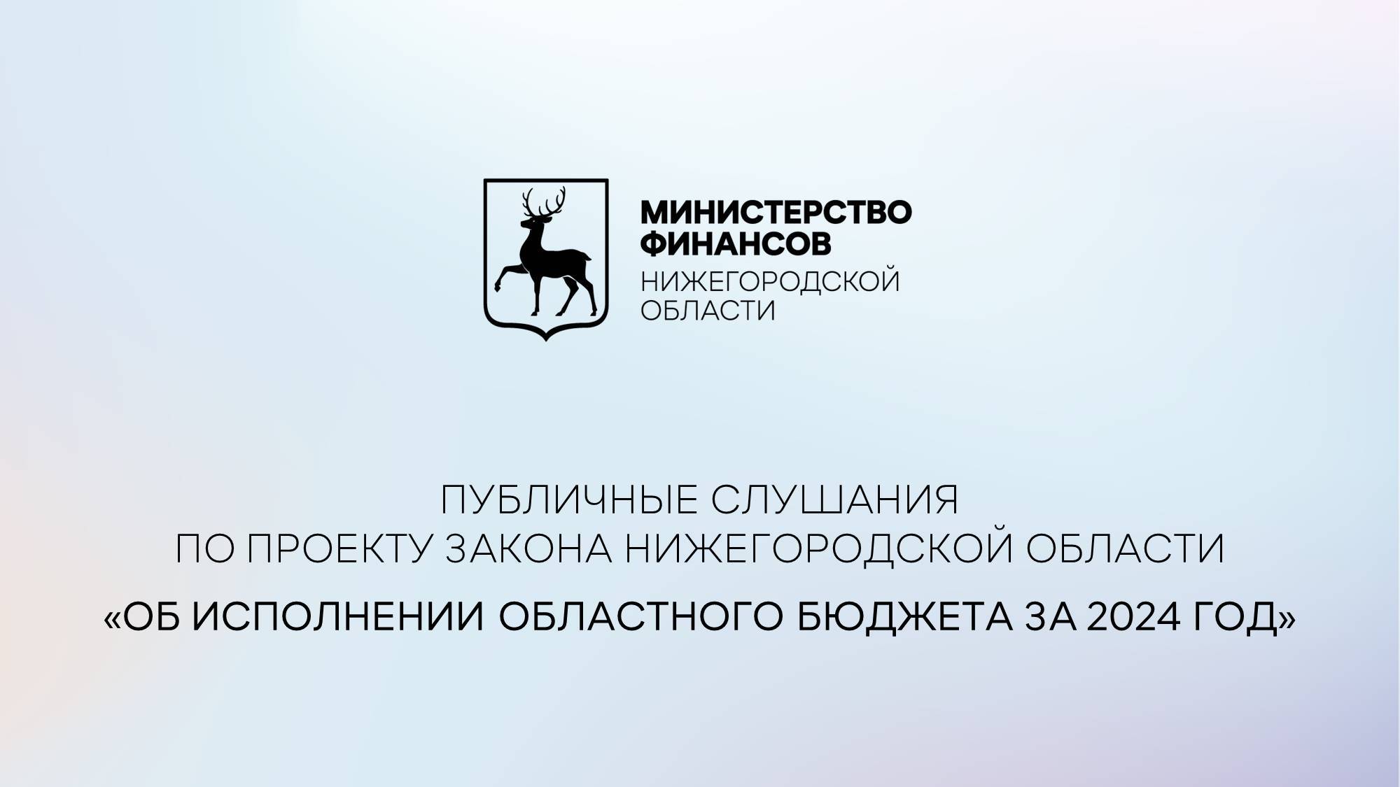 Публичные слушания по проекту закона Нижегородской обл. об исполнении областного бюджета за 2024 год