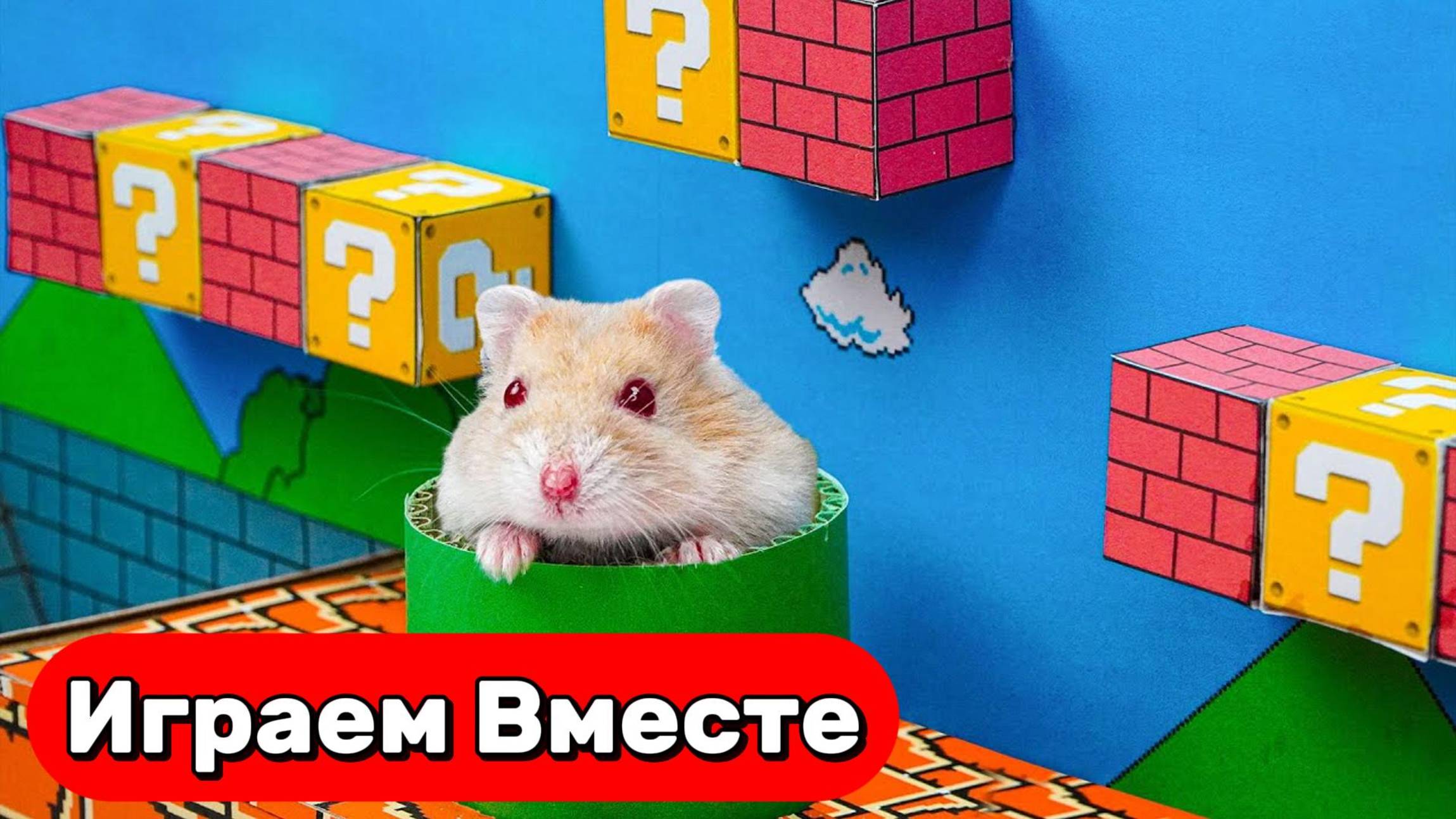 Приключение хомяка в лабиринте Марио 🐹 Весёлая история побега с ЛОВУШКАМИ