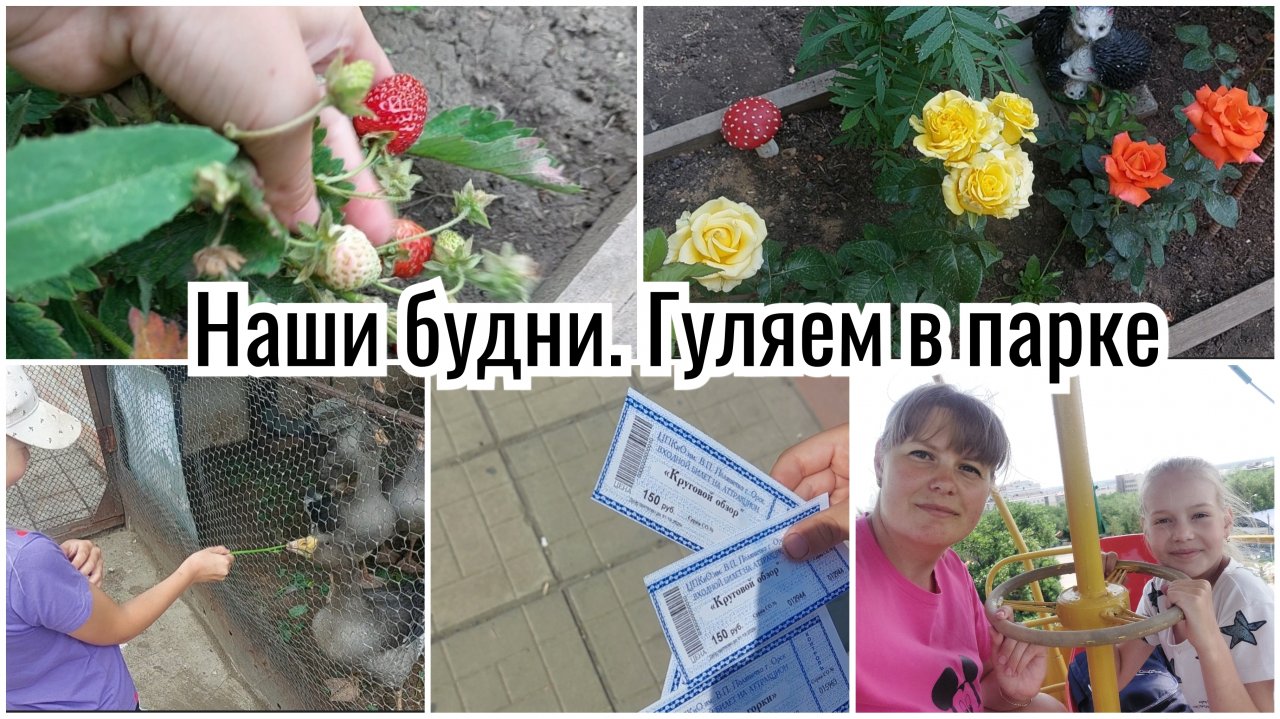 ПОПАЛИ В ЗООПАРК 🙈 ПРОГУЛКА. ПОКУПКИ. ВЫХОДНЫЕ БЕЗ САДА
