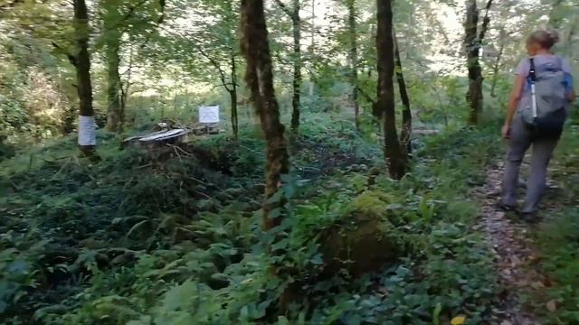 02 10 22 Абхазия, Жоэкварское ущелье, водопад-водозабор принца Ольденбургского.