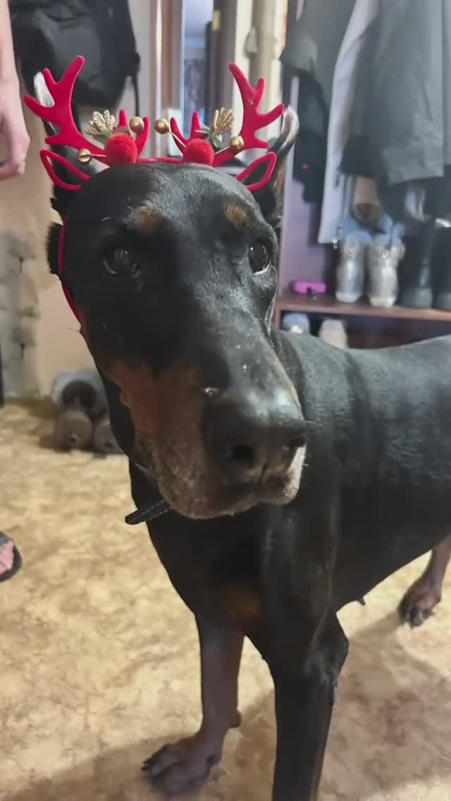 Наша любимая лошадка 🐎Визови)