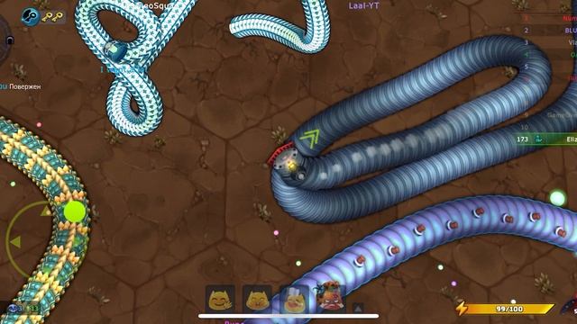Little big snake!