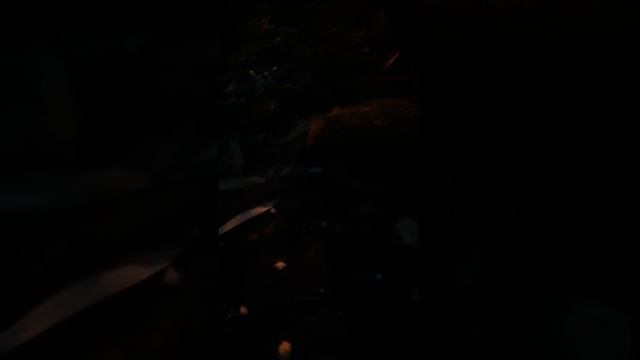 Ночные гости. Семейство ёжиков