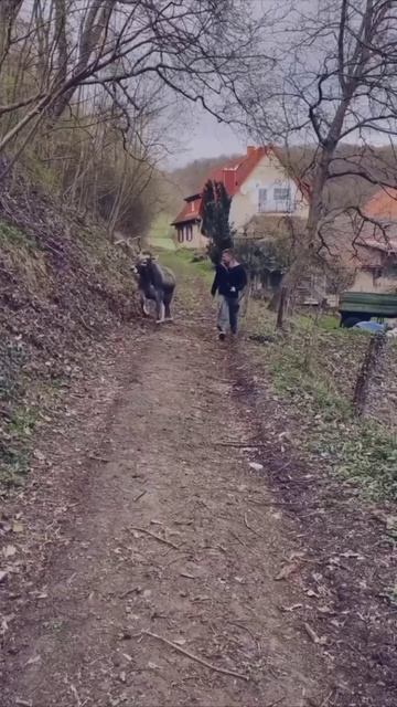 Доброе утро, дачники!