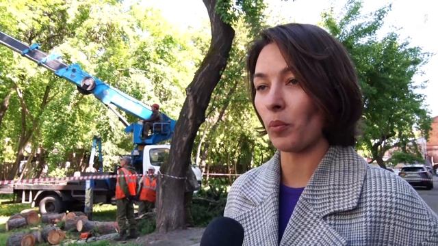Обрезка и валка аварийных деревьев. Иркутск