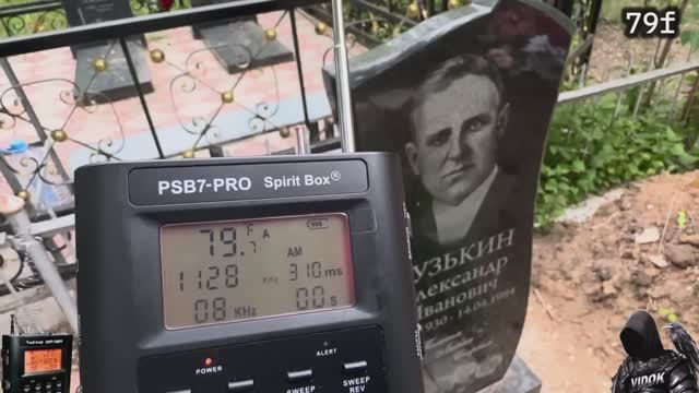 ЭГФ ЗАРЕЗАННАЯ СЕМЬЯ.  - ОТВЕТ БЫЛ С ТОГО СВЕТА (ТОНКИЙ МИР). PSB7 PRO Spirit Box