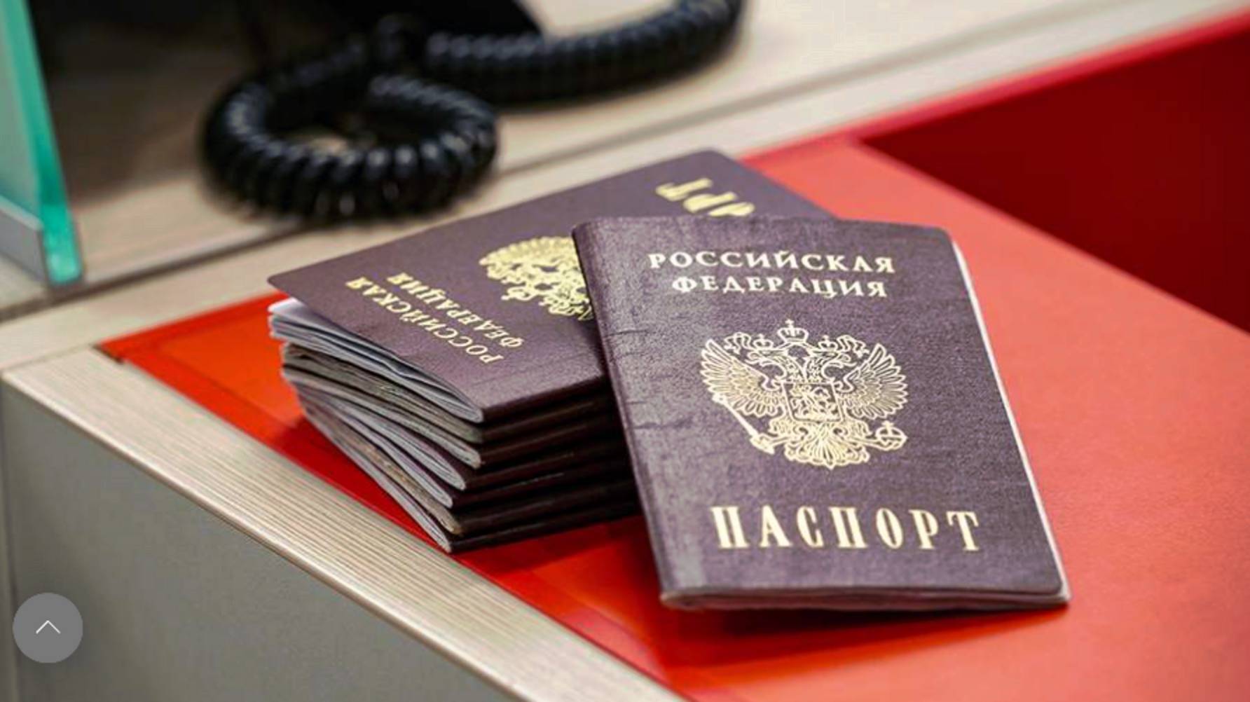 В ГД сообщили о просьбах вернуть обязательные записи о браке и детях в паспорте