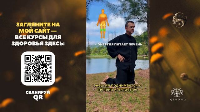 Слабые колени, остеопороз, слабая печень? Делай это ка?