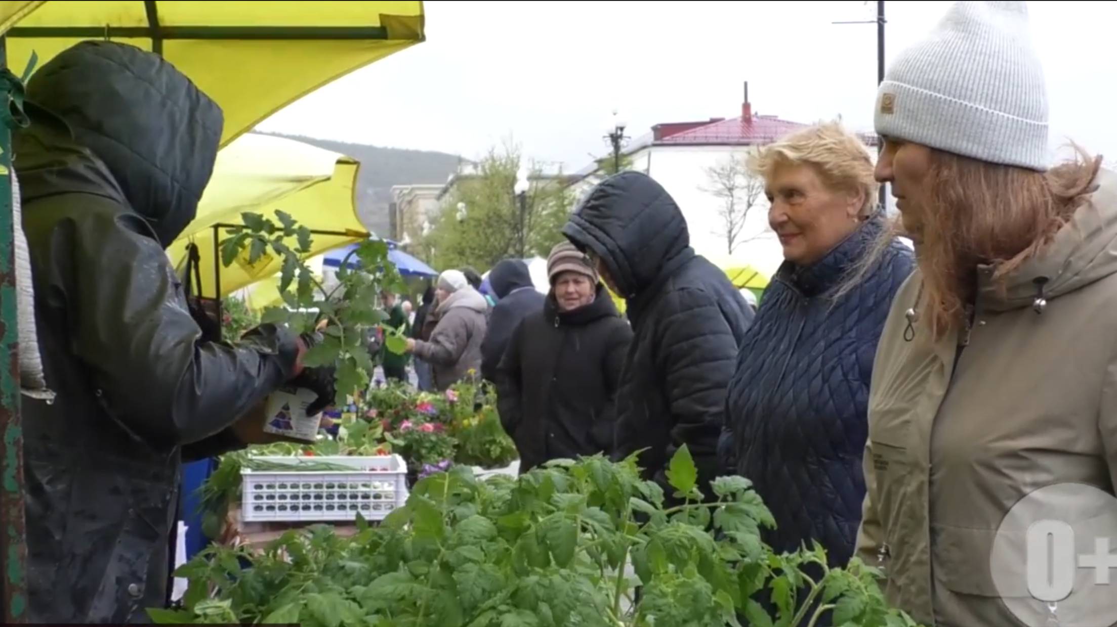 Летняя ярмарка выходного дня переехала на Театральную площадь Магадана