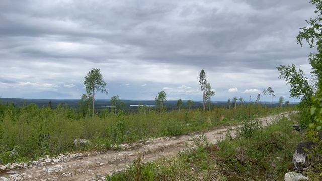 Без края