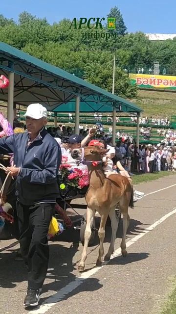 Арча Сабан туеның үзәк мәйданыннан бизәлгән атлар узды