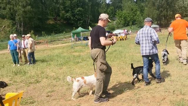 Ринг кобелей РОСов - старшая группа.