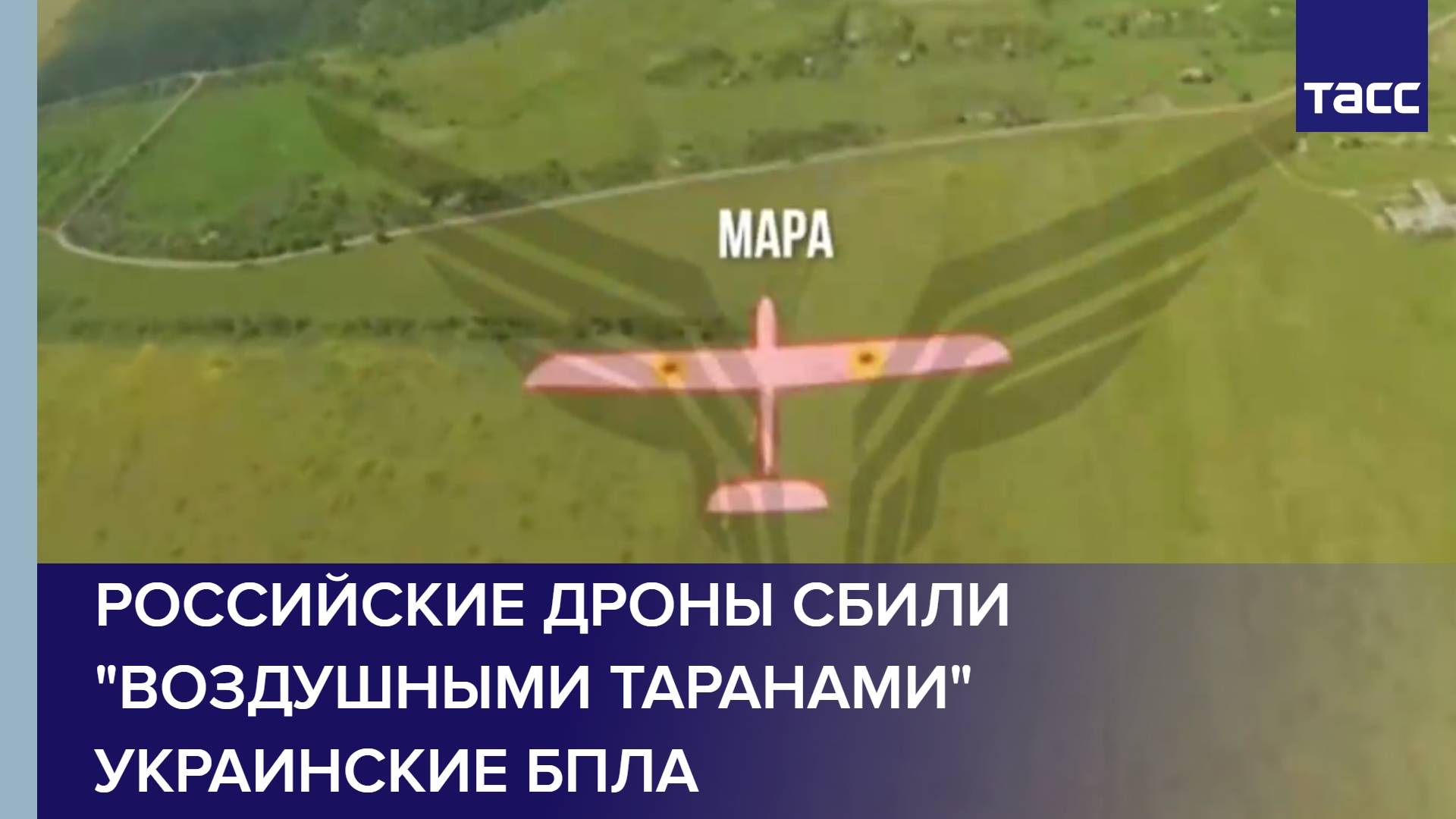 Российские дроны сбили "воздушными таранами" украинские БПЛА