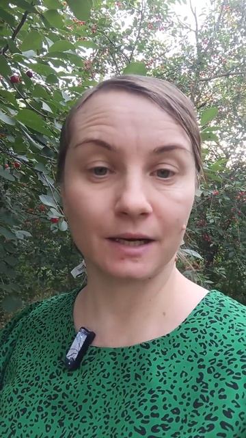 Почему психиатор может поставить диагноз, только после 3 лет